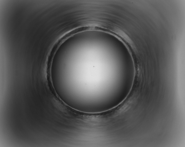 X0000089421020200706151247