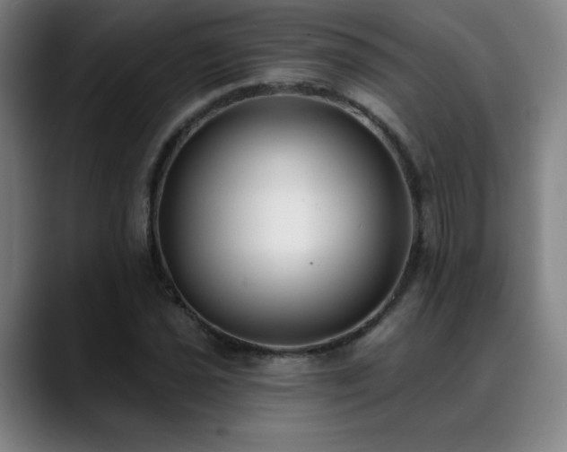 X0000089421021200706151247
