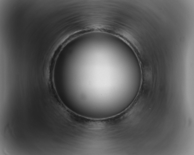 X0000089421023200706151247
