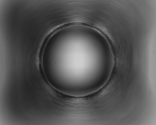 X0000089421024200706151247