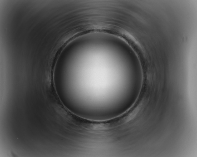 X0000089421025200706151247