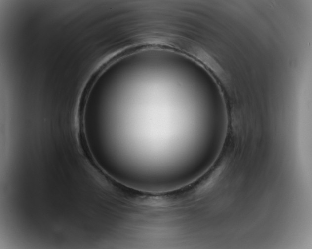 X0000089421028200706151247