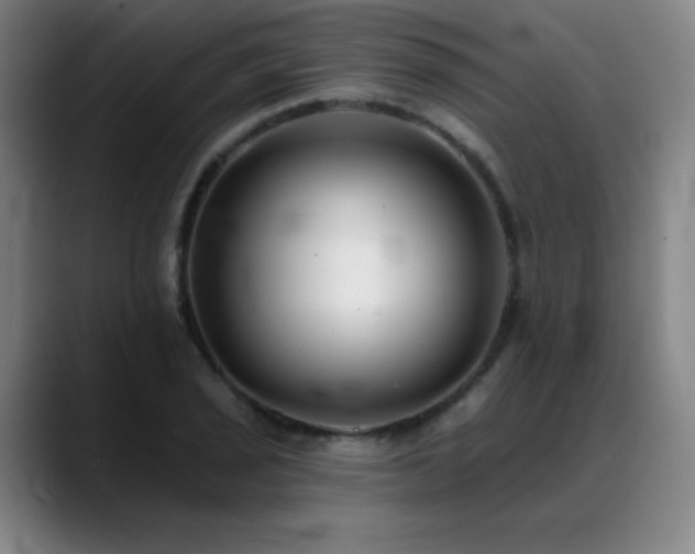 X0000089421029200706151247
