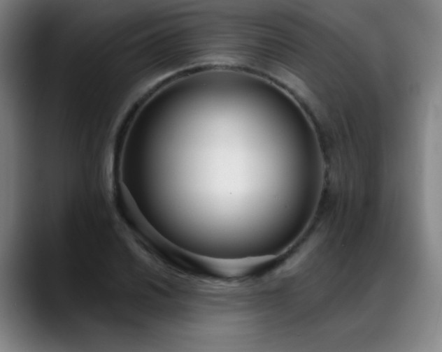 X0000089421030200706151247