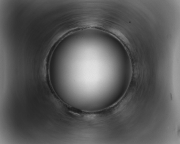X0000089421031200706151247