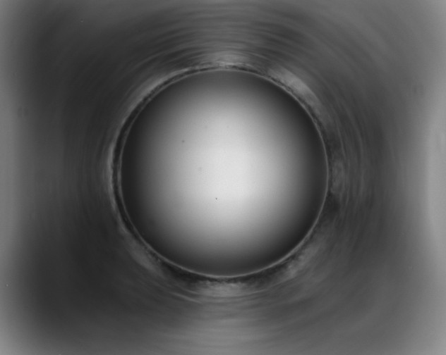 X0000089421039200706151247