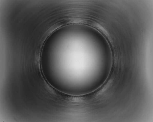 X0000089421041200706151247