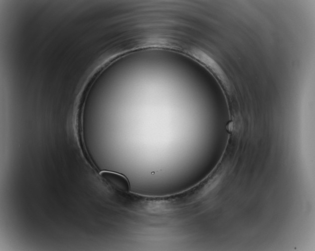 X0000089421043200706151247