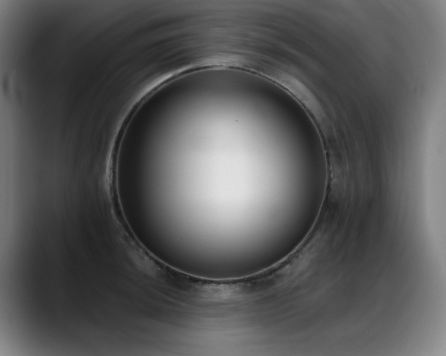 X0000089421044200706151247