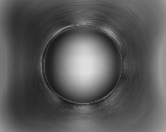 X0000089421047200706151247