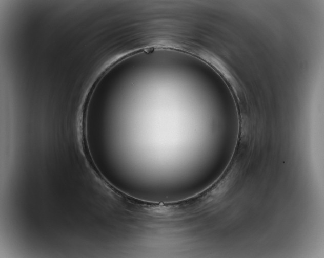 X0000089421048200706151247