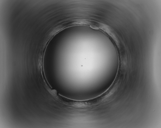 X0000089421049200706151247