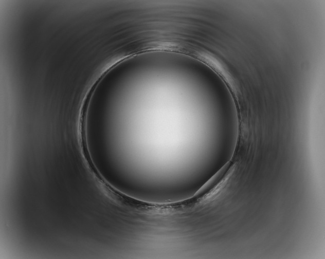X0000089421050200706151247