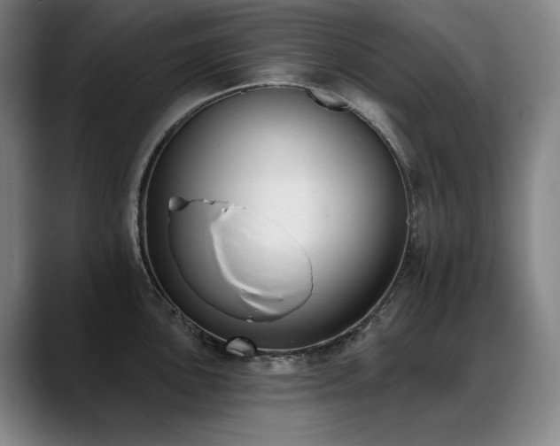 X0000089421051200706151247