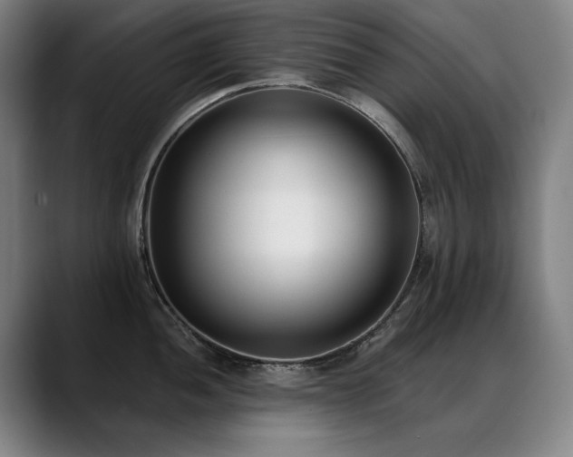 X0000089421052200706151247