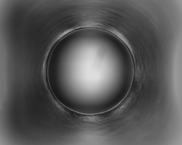 X0000089421053200706151247