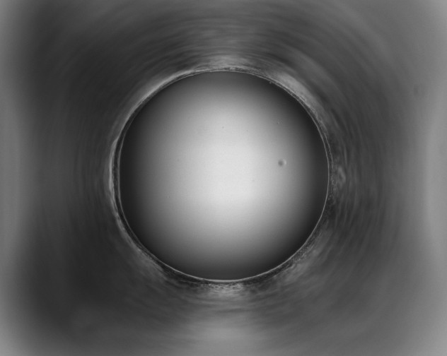 X0000089421055200706151247