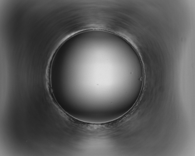 X0000089421056200706151247