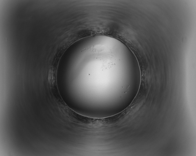 X0000089421058200706151246