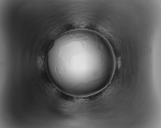 X0000089421059200706151246