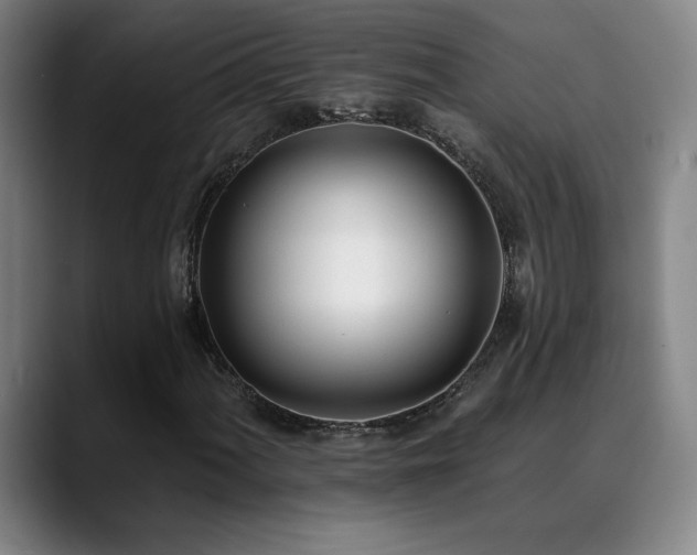 X0000089421060200706151246
