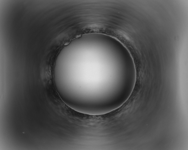 X0000089421062200706151246
