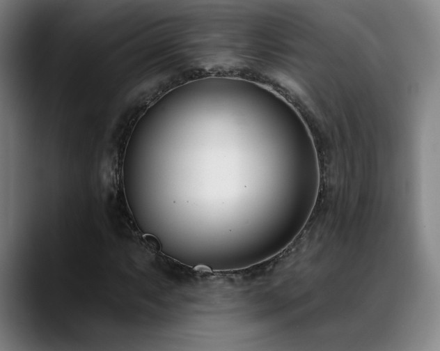 X0000089421063200706151246