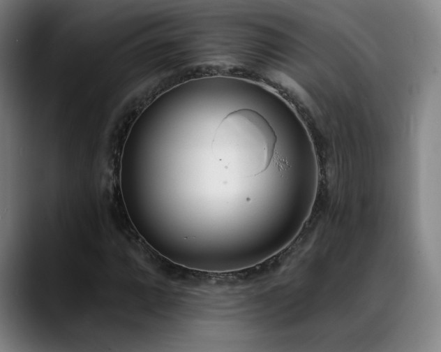 X0000089421064200706151246