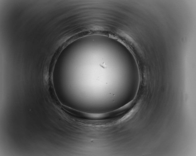 X0000089421065200706151246