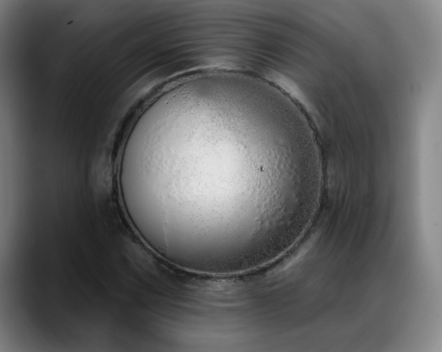 X0000089421067200706151246