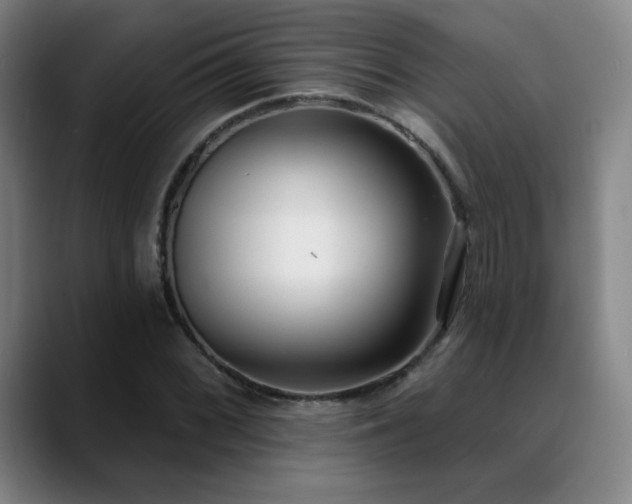X0000089421068200706151246