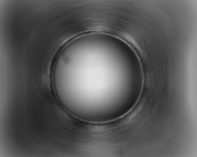 X0000089421071200706151246