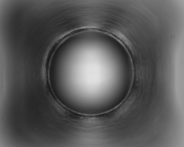 X0000089421072200706151246