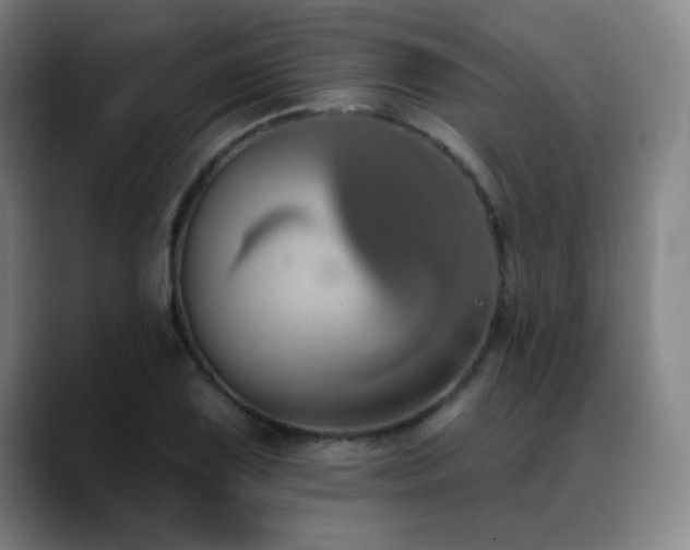 X0000089421075200706151246