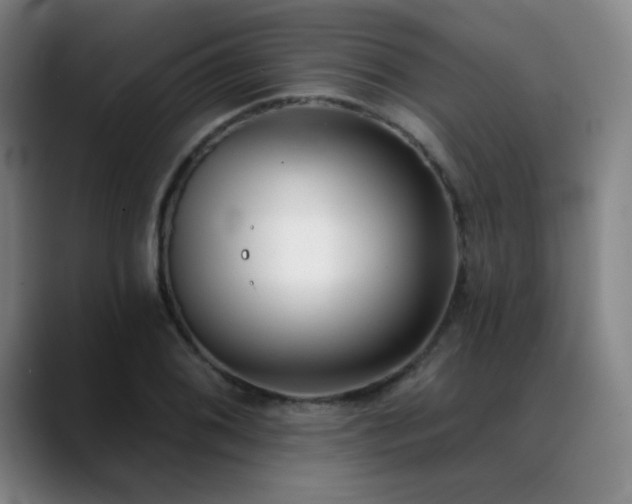 X0000089421076200706151246