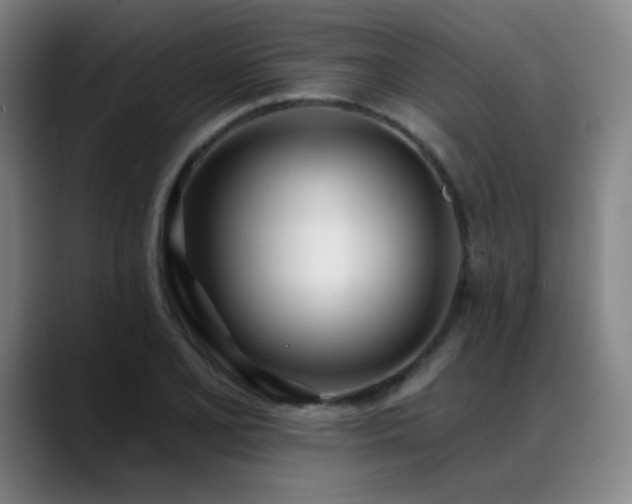 X0000089421077200706151246
