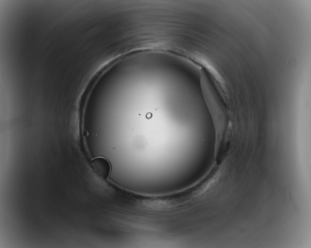 X0000089421079200706151246