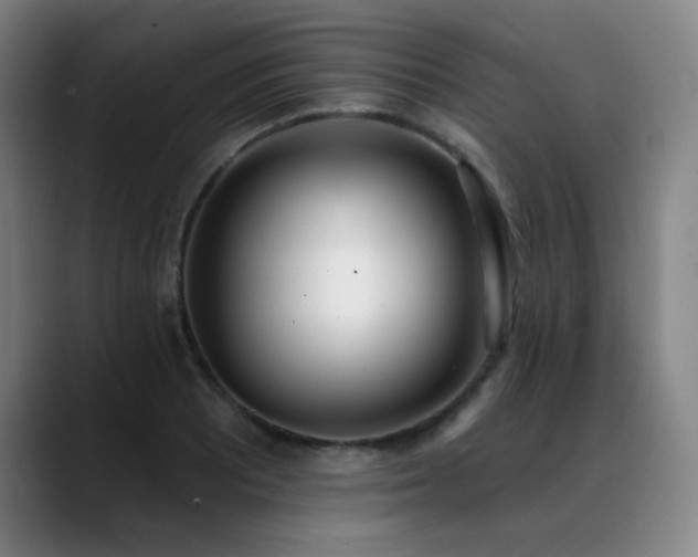 X0000089421081200706151246