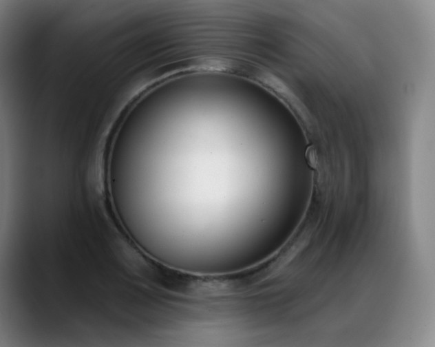 X0000089421083200706151246