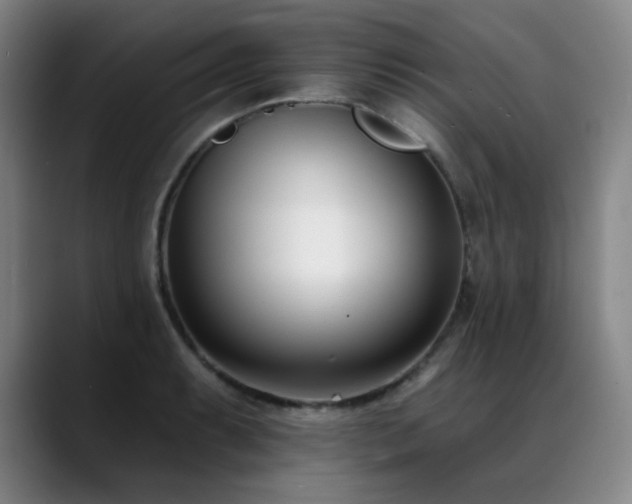 X0000089421087200706151246