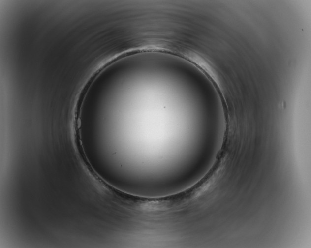 X0000089421093200706151246