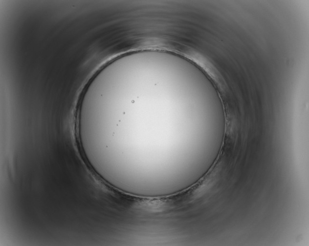 X0000089421094200706151246