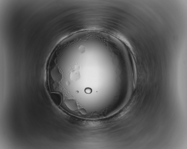 X0000089421095200706151246