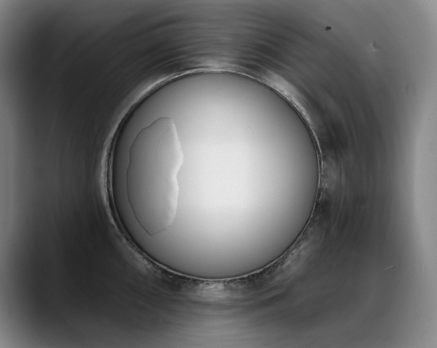 X0000089421098200706151246