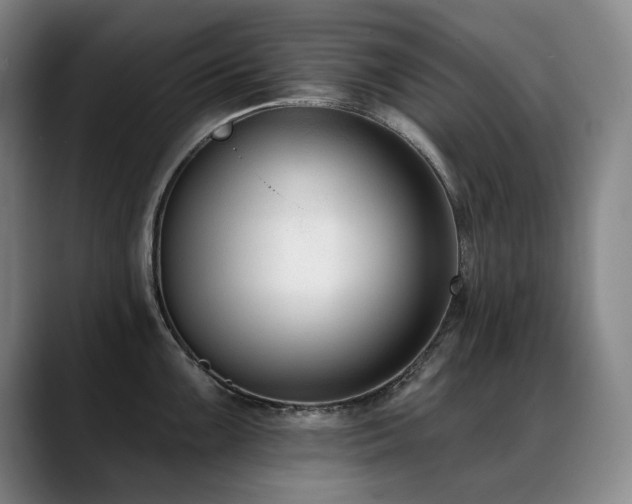 X0000089421099200706151246