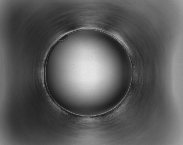 X0000089421100200706151246