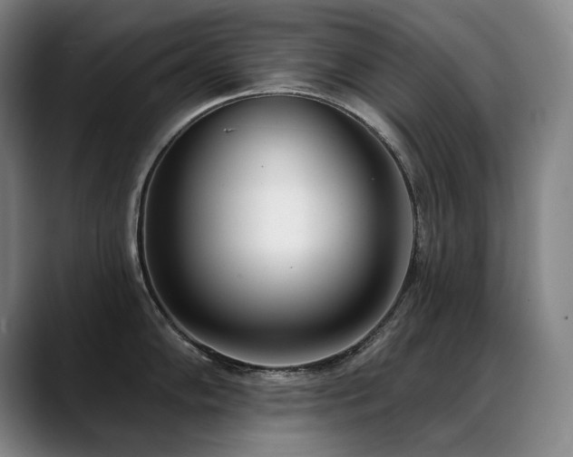 X0000089421102200706151246