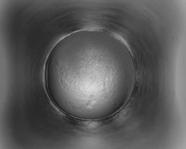 X0000089421103200706151246