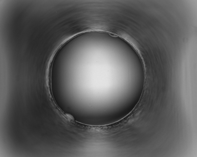 X0000089421104200706151246