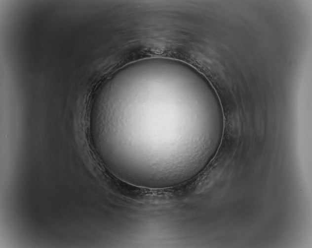 X0000089421105200706151245